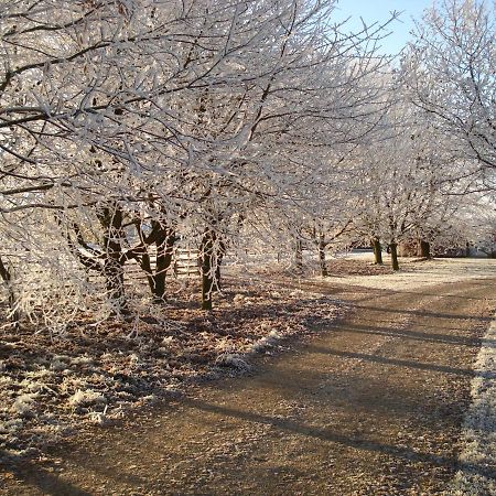 Moreton Pinkney Weston Hill Farm Bed & Breakfast エクステリア 写真