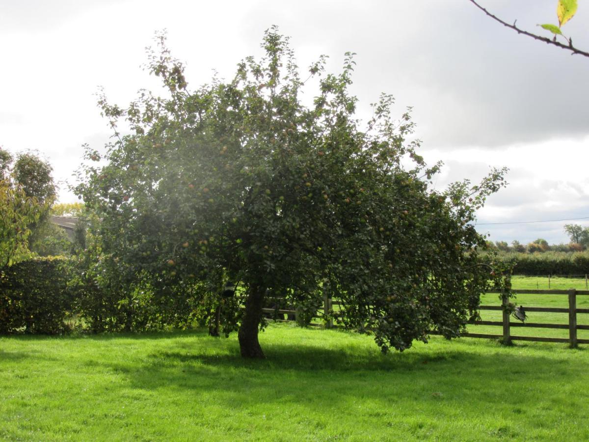 Moreton Pinkney Weston Hill Farm Bed & Breakfast エクステリア 写真